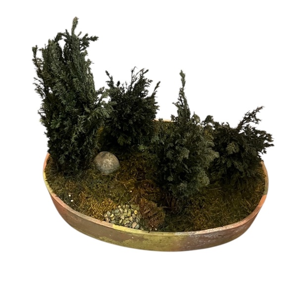 FOREVER GREEN ART Potted Quartet Mini Cypress Tree In‎ Oval Terra Cotta Planter - Picture 3 of 12